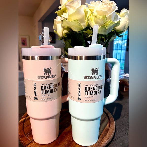 Stanley Other - NEW Stanley Bundle Bloom & Mint
